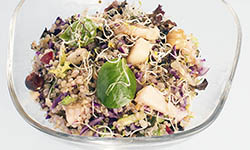 Cuina vegetariana - Mercè Homar